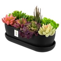 Doniczka Kaktusiarka ceramiczna nowoczesna Czarny Mat Loft 27,5cm Owal