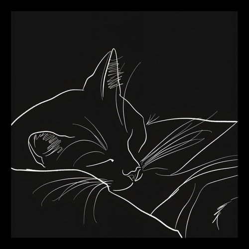 Plakat 20x20cm Nocny Spokój na Arena.pl