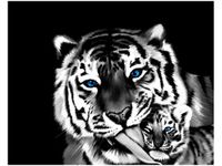 40X50CM TYGRYSY OBRAZ