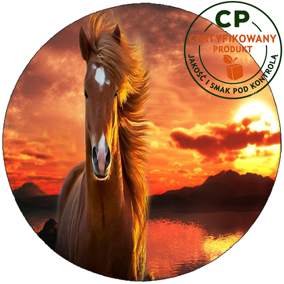 Opłatek na tort Konie zdjęcie 1