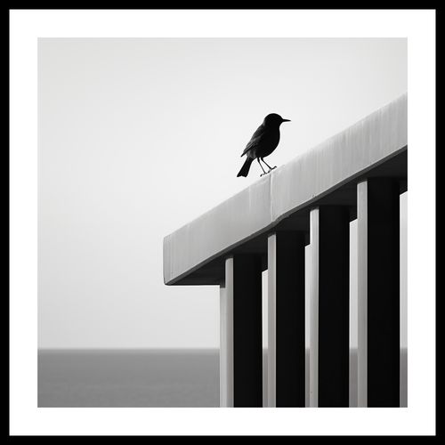 Plakat 40x40cm Samotna Odchłań na Arena.pl