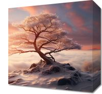 product-compare-59468221