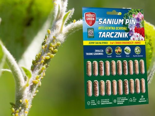 SANIUM PIN 2w1 PAŁECZKI DOGLEBOWE ziemiórki przędziorki wełnowce na Arena.pl