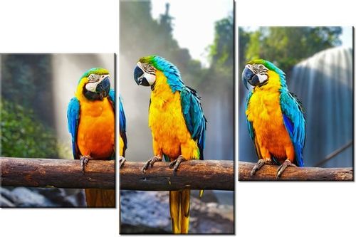 60 90CM OBRAZ 3 ELEM TRZY ARY ŚCIENNY DRUK PŁÓTNO na Arena.pl