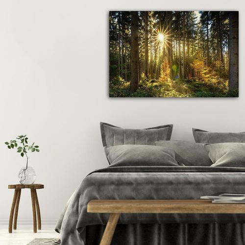 Deco Panel, Słońce w lesie 120x80 na Arena.pl