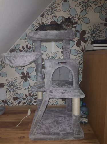 DRAPAK DLA KOTA KOTÓW STABILNY LEGOWISKO WIEŻA SŁUPEK DOMEK 3 POZIOMY na Arena.pl