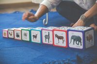 PIRAMIDA ZABAW EDUKACYJNA WIEŻA KLOCKI DLA DZIECI ZWIERZĘTA MONTESSORI