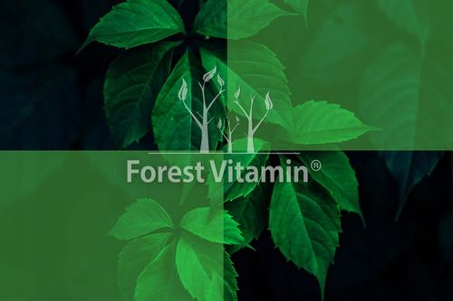 FOREST VITAMIN L-TREONIAN MAGNEZU 50g CZYSTY PROSZEK L-THREONATE MAGNEZ na Arena.pl