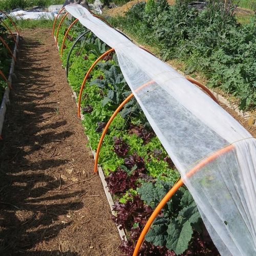 Agrowłóknina biała otulina okryciowa HEVA 1,6x50m 17g wiosenna zimowa UV2% na Arena.pl