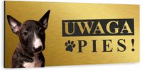 Tabliczka UWAGA ZŁY PIES BULTERIER złota aluminium