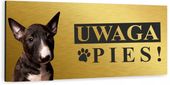 Tabliczka UWAGA ZŁY PIES BULTERIER złota aluminium