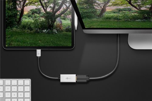 Goobay USB-C Adapter to HDMI | 60194 na Arena.pl