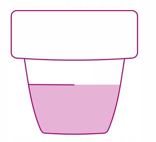 bopon - nawóz do roślin zielonych płyn 1l na Arena.pl