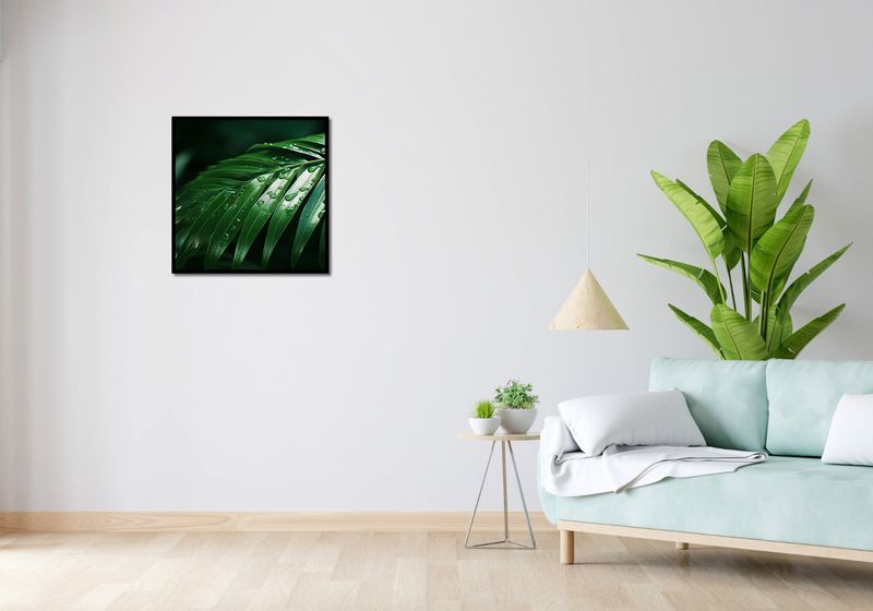 Plakat 60x60cm Żywa Łagodność zdjęcie 4