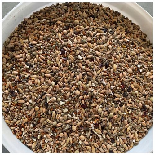 KARMA DLA PTAKÓW DZIKICH ZIMUJĄCYCH POKARM ZIARNO IDEALNY DO KARMNIKA 10KG na Arena.pl