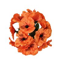 Bukiecik bratek pomarańczowy