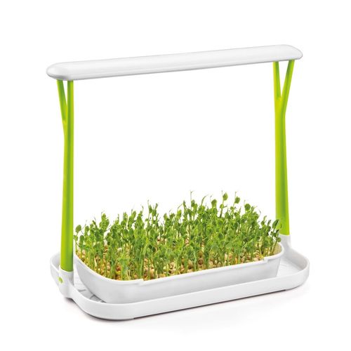 Zestaw do uprawy microgreens SENSE na Arena.pl