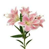 product-compare-61190892