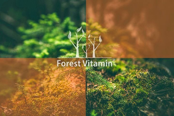 KURKUMINA PIPERYNA MOCNA STANDARYZACJA KURKUMA 100 zdjęcie 9