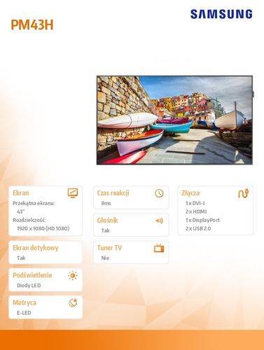 Samsung 43'' PM43H na Arena.pl