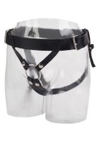 universal love rider harness