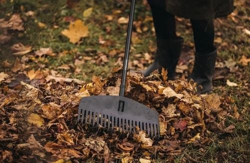 Grabie do liści sz. 440mm, dł. 1720mm (M) Solid Fiskars F1063090 na Arena.pl