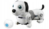 ROBO DACKEL JUNIOR