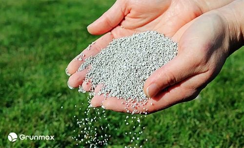 GRUNMAX - Green expert wiosenny nawóz do trawy, trawnika , PREMIUM 20kg na Arena.pl