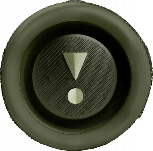 Głośnik Bluetooth JBL Flip 6 Zielony na Arena.pl