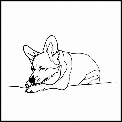 Plakat 90x90cm Śpiący Corgacz na Arena.pl