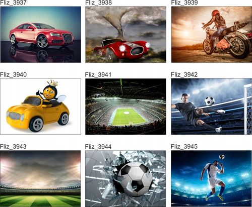 FOTOTAPETA PIŁKARSKA BRAMKARZ GOL 395x280 na Arena.pl