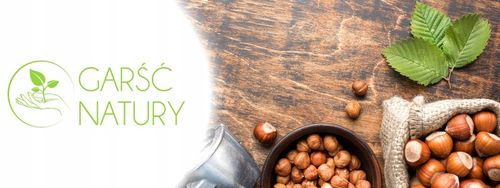 ORZECHY LASKOWE ŁUSKANE CAŁE 1KG Duże Naturalne Świeże bez Gmo 1 kg na Arena.pl