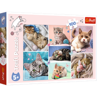 Puzzle - 100 - W kocim świecie - Trefl 16420