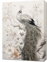 Obraz 50x70cm Pawia Gracja