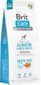 BRIT CARE GRAIN FREE JUNIOR LARGE SALMON 12kg