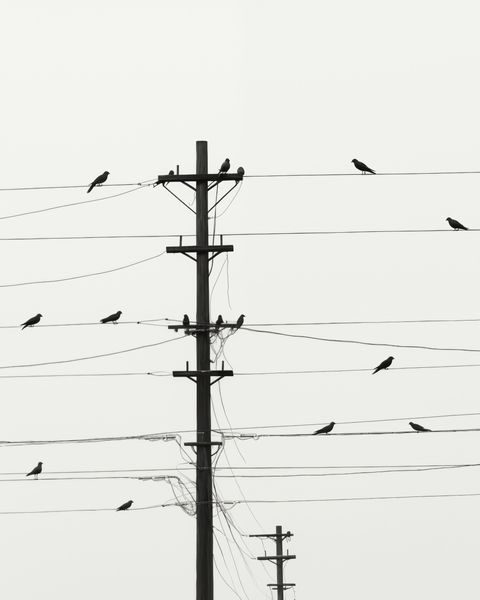 Plakat 40x50cm Symfonia na Drutach zdjęcie 1