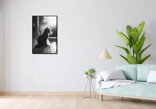 Plakat 53x81cm Kocia Przerwa na Arena.pl