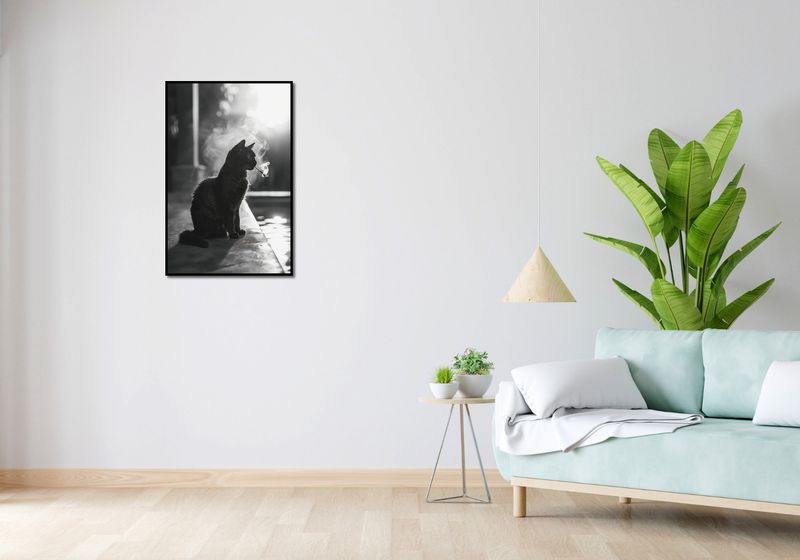 Plakat 53x81cm Kocia Przerwa zdjęcie 4