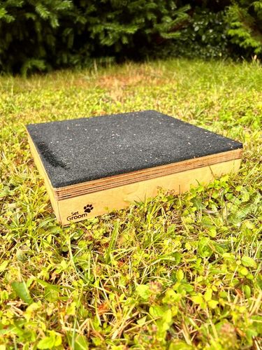 PODEST DLA PSA DO SOCJALIZACJI OBEDIENCE DOG 30x6 na Arena.pl