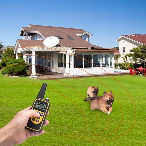 ELEKTRYCZNA OBROŻA DLA PSA TRENINGOWA 800M PILOT na Arena.pl