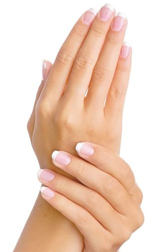 Rękawice Vileda Universal "M" na Arena.pl