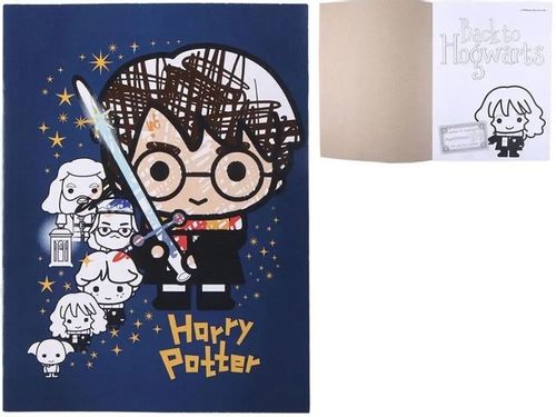 Papeteria, akcesoria szkolne Harry Potter na Arena.pl