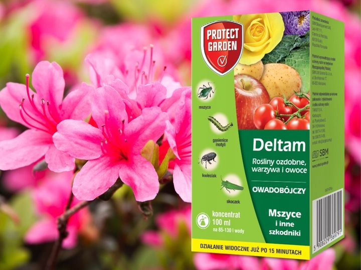 DELTAM ŚRODEK OWADOBÓJCZY MSZYCA KWIECIAK SKOCZEK GĄSIENICE MOTYLI 100ML zdjęcie 9