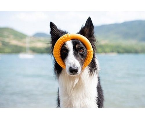 Kiwi Walker Let's Play Ring Mini pomarańczowy zdjęcie 3