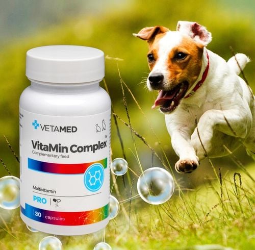 WITAMINY DLA PSA I KOTA 30 kapsułek VETAMED VitaMin Complex + GRATIS na Arena.pl