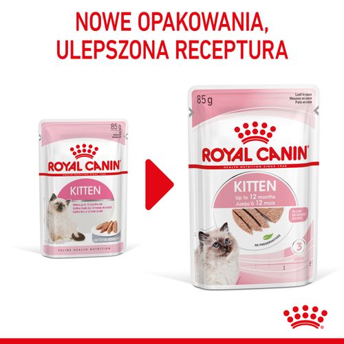 royal canin kitten pasztet 12x85g na Arena.pl