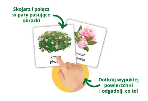 Karty sensoryczne Montessori. Przyroda na Arena.pl