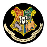 Przypinka Harry Potter