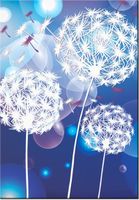 product-compare-58712428