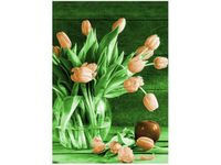 product-compare-58655728